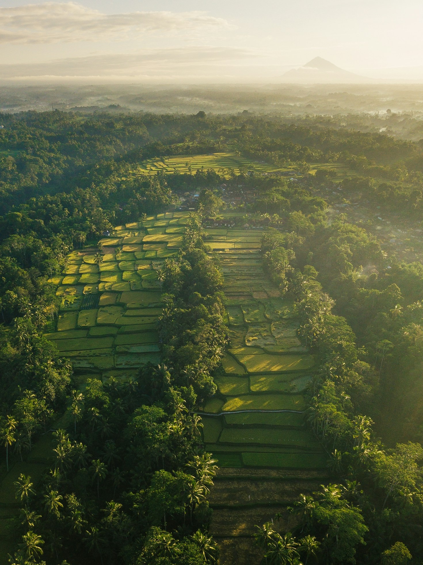 Overcoming Solo Travel Fears: A Beginner’s Guide